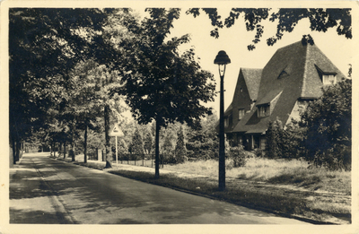 11641 Gezicht in de Daam Fockemalaan te Amersfoort uit het zuiden; met rechts de voorgevel van de villa nr. 91.